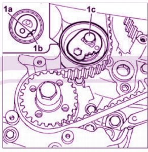 Guida PDF Cambio Cinghia Distribuzione Fiat DUCATO 244