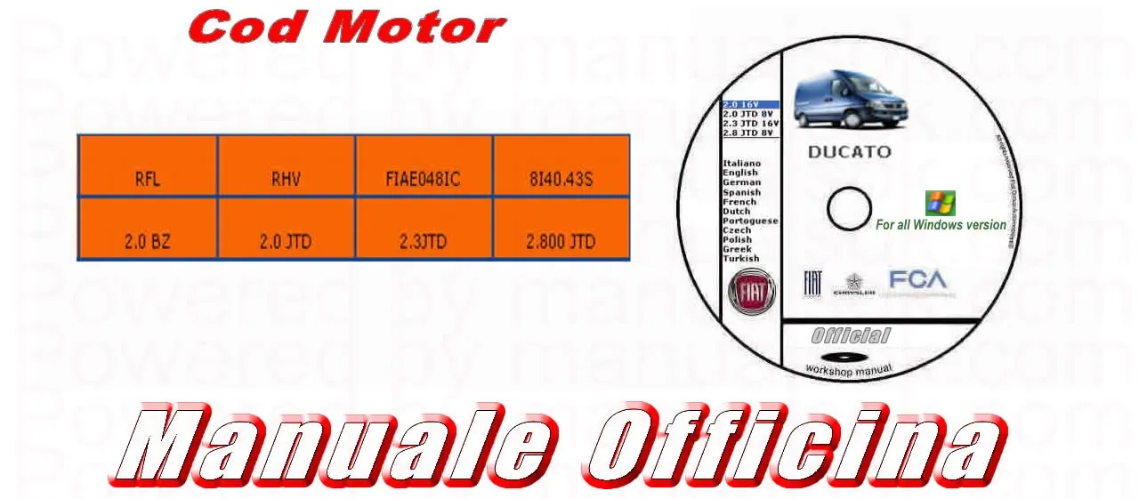 Riparazione Fiat Ducato 244 zfa230000